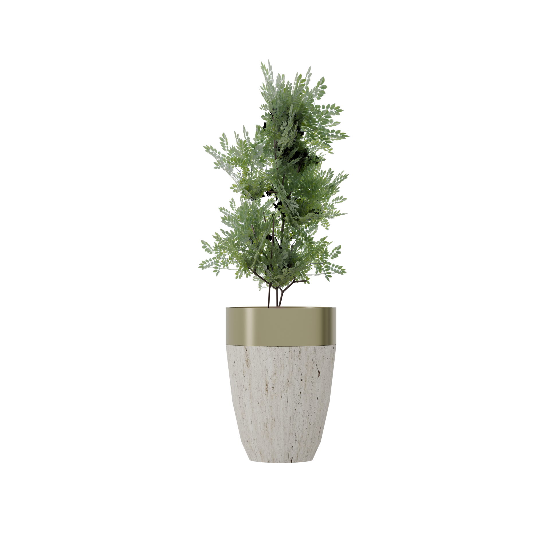 Plant